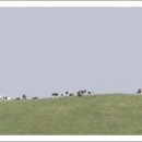 삼원목장 이미지