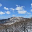 바람의언덕A 이미지