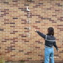 글라애월오션 이미지