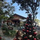 올드머그 | 부산 송정 카페 무드 가득한 내돈내산 올드머그 카페