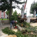 신북초교 이미지