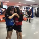 정함 체육관 이미지