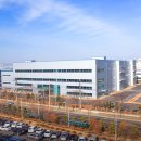 2026년 대덕전자 주가 전망 이미 늦었다고 느낄 때 진짜 시작되는 이유