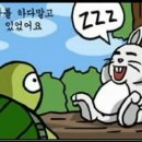 토끼와거북이