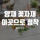 솔향데코 네이버블로그