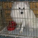 한얼동물병원 이미지