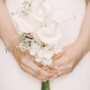 (유)루벨 수완PC | [W] 3. 본식스냅 : 업체 알아보기 / 리스트업 / 견적