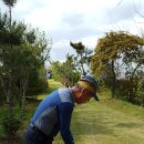 그라운드 골프 이미지