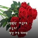 멋진하루 이미지