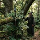 호산나 미륵이여...(12-17) 이미지