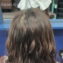 헤어네이비