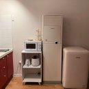 코코애견 이미지