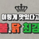 오늘은닭발해