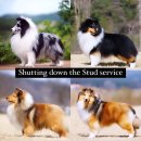 레디에이트(RADIATE) 이미지