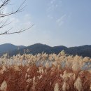 왜관초교 이미지