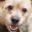 해듬약국 이미지