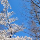 창원대로-1 이미지