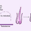 부산대한외과의원 이미지