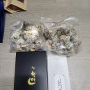 다견원 | 2026 차문화대전 내돈내산