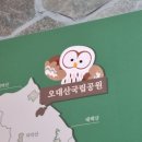 [언제든학교]짧은 소설 긴 수다 시즌10 | 251101 | 평창 오대산 뚜벅이 당일치기 | 상원사에서 월정사까지 선재길 트래킹한 후기 🐿