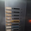 야외수영장 | 서울 호캉스 안토리조트 (구 파라스파라) 조식&amp;야외수영장 후기