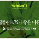 웰플란트75치과의원 이미지