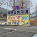군내어죽