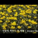 사랑의 하모니 이미지