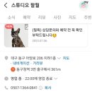 스튜디오팔월 이미지