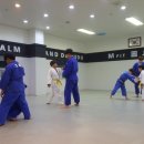 엠핏유도관 이미지