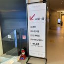목포 근교 신안 자은도 씨원리조트 펫룸 이용 후기