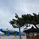 미니스톱삼척제일점 | 삼척 맹방해수욕장 편의시설 [화장실, 음수대, 샤워장, 편의점, 식당, 탁자, 파라솔, 튜브]