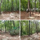 수리산 산림욕장 이미지