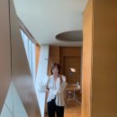 더콜론컴퍼니