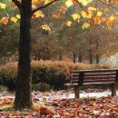 청춘목욕탕 이미지