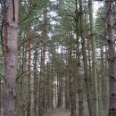 안녕,사랑 이미지