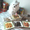 야이노마 이미지