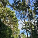 동백공원 산정 이미지