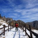 지리 종주 첫째날 (12/01/28) - 구름을 벗삼아, 머나먼 잔돌마당을 향하여... 이미지