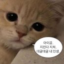 HYROX 준비한다면? 스테이션8PT 하이록스 시뮬레이션 후기🔥