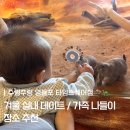 (주)안세 | 겨울 실내 데이트 주렁주렁 영등포 타임스퀘어점 동물원 할인 최저가 티켓