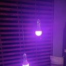 아이넷스토리 이미지