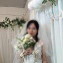 셔니룸