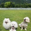 스테이 기북 이미지