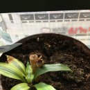 풀꽃민박 이미지