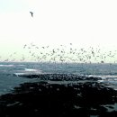 수산상회 이미지