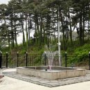 신세대빌리지 이미지