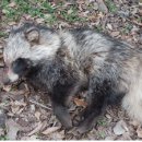 제주에 산다 이미지