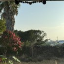 아끈두베 이미지