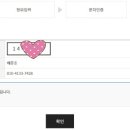 주정차단속-100 티스토리